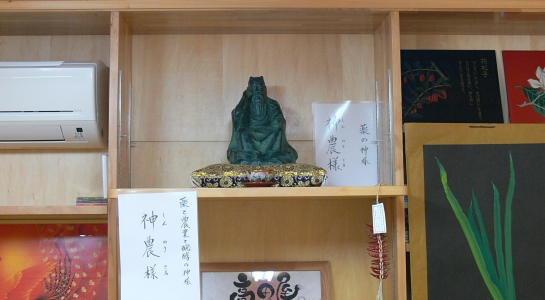 p1070695.jpg